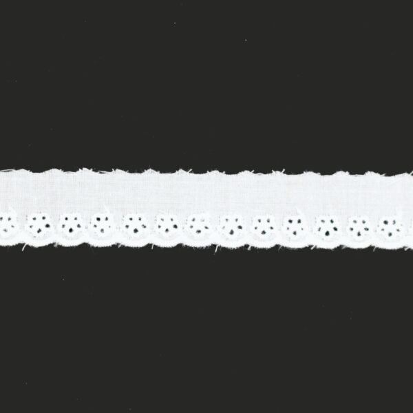 I Ricami del Cuore Passamanerie e Pizzi Pizzo sangallo a metro – SG6 2 I Ricami del Cuore Passamanerie e Pizzi Pizzo sangallo a metro – SG6 2